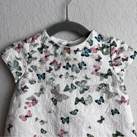 Zara Baby Girl Dress Mini Top Butterfly Print Pink Blue White Kids - Picture 3 of 9